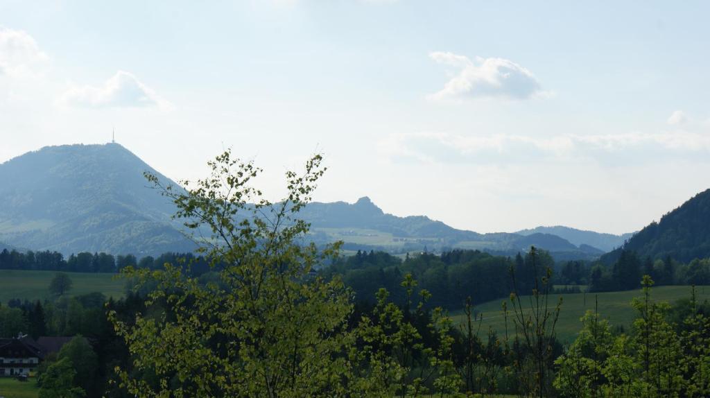 Pension Schierl Файстенау Номер фото
